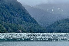 DF054496-4A90-46B4-A609-4F003C5A03B4
