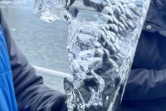 E20B007C-1DF7-4C8F-9713-8E7DE904DA9F