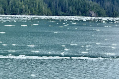 E4555D43-14EF-41DA-8488-BA74EF9B2F46