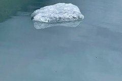IMG_4101