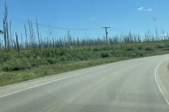 1FC00263-A68C-4B7A-B79E-F952F99685F4