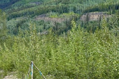 2D82A65F-3E24-4315-B15B-7293FF311BED