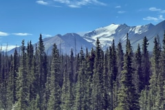 6D1833BE-88B3-43AB-BD83-EF6E93E20BAC