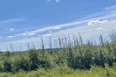 9E430A79-9C66-4A3E-906D-2731CD021503