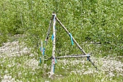 9F610468-E1B3-4D46-80C7-535ED01E176D