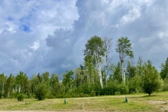 2B6C5464-20AC-4CCE-9770-CED2077361C5