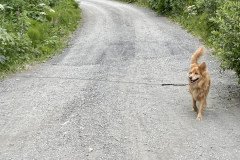 IMG_1062