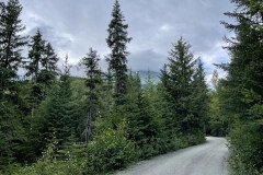 IMG_3714