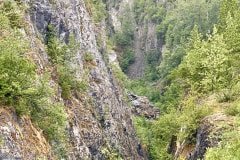 IMG_1101