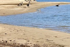 7EC018CA-F2E2-4935-B19D-3F8B76079E43