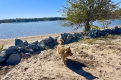 D6E47C97-AB23-441F-ADAE-AA18B7DCD82A