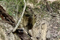 30597640-8B4C-4702-BEE8-EC650118E0C6